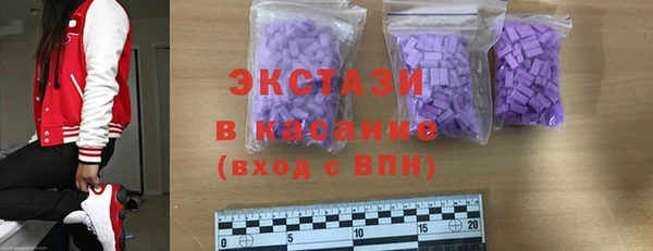 индика Гусев