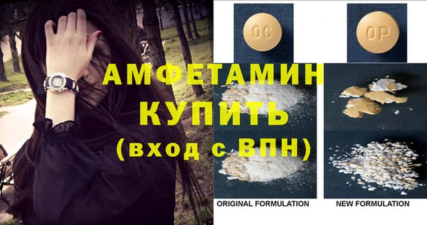 индика Гусев