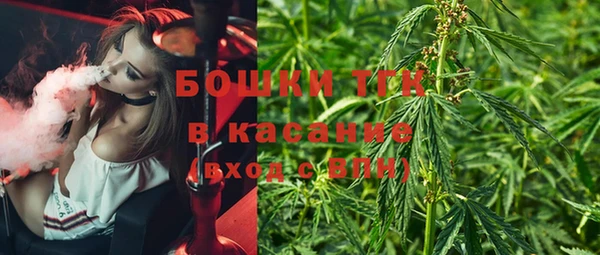 индика Гусев