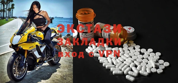 индика Гусев