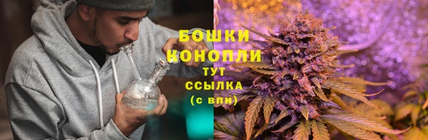 бошки Сосновый Бор