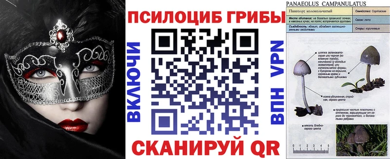 Галлюциногенные грибы MAGIC MUSHROOMS  купить наркотик  Новая Ляля 